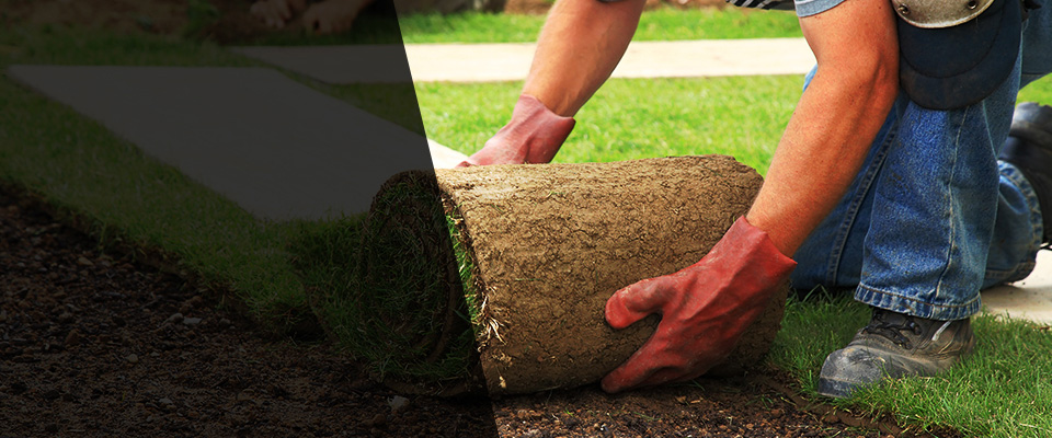 Denham Springs Landscapers